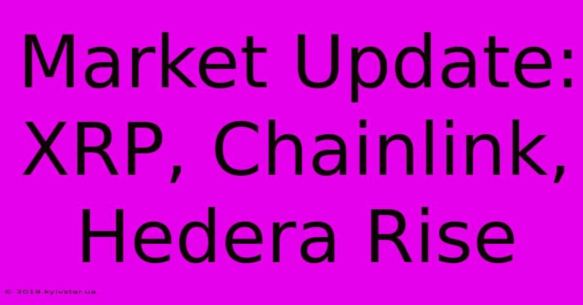 Market Update: XRP, Chainlink, Hedera Rise