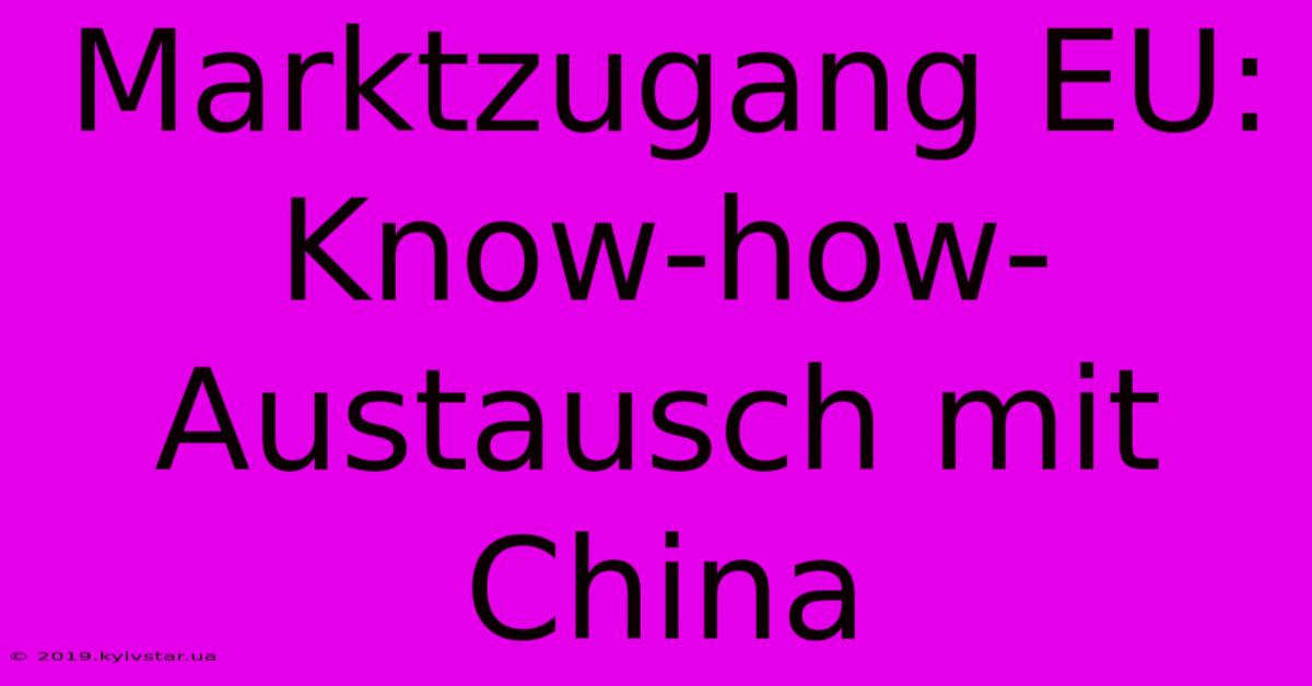 Marktzugang EU: Know-how-Austausch Mit China