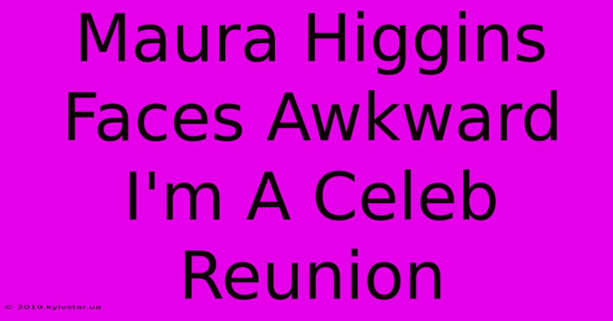 Maura Higgins Faces Awkward I'm A Celeb Reunion