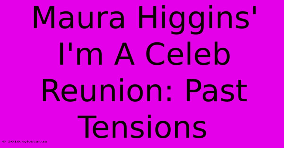 Maura Higgins' I'm A Celeb Reunion: Past Tensions 