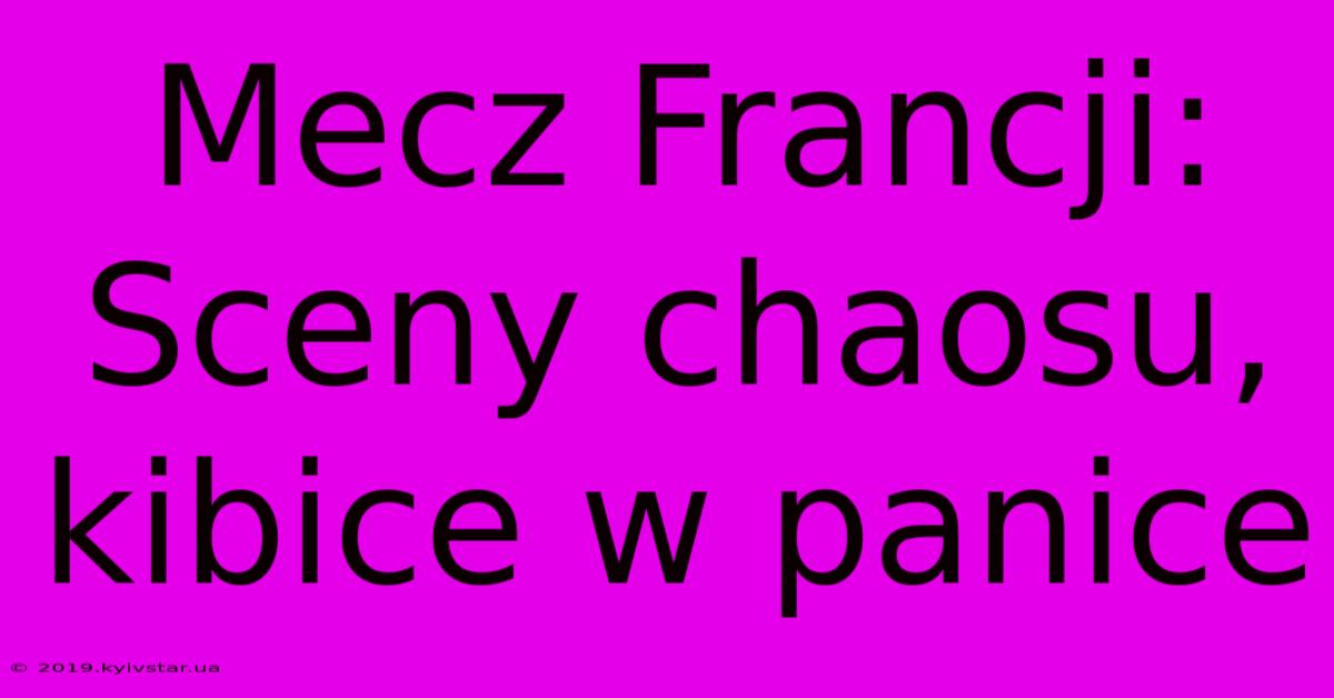 Mecz Francji: Sceny Chaosu, Kibice W Panice