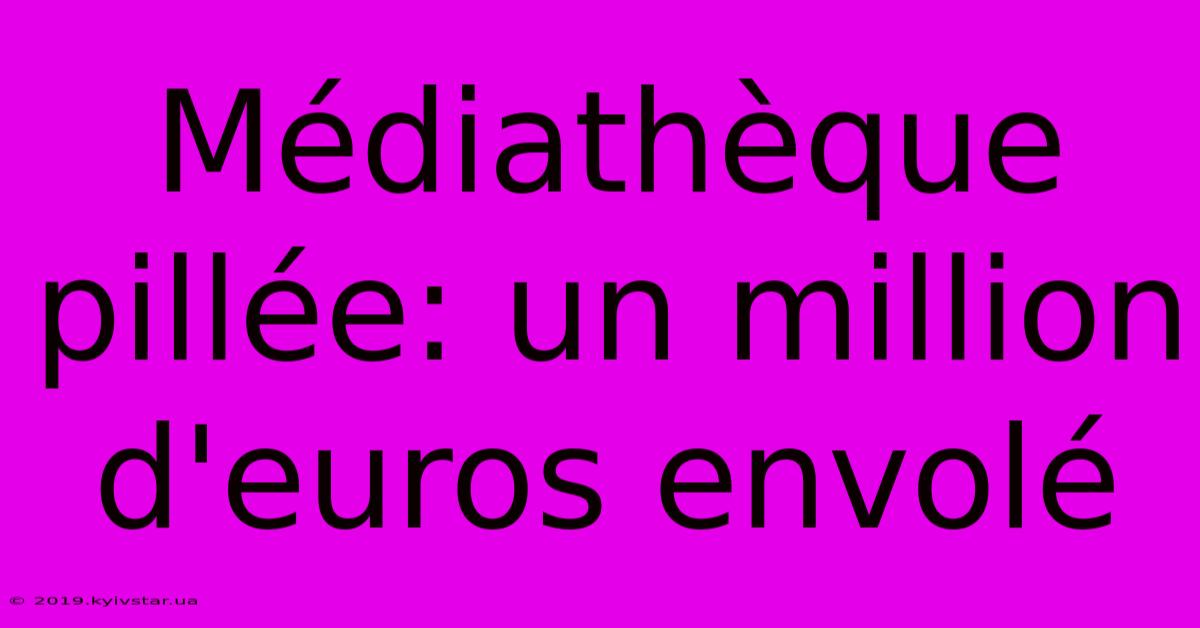 Médiathèque Pillée: Un Million D'euros Envolé