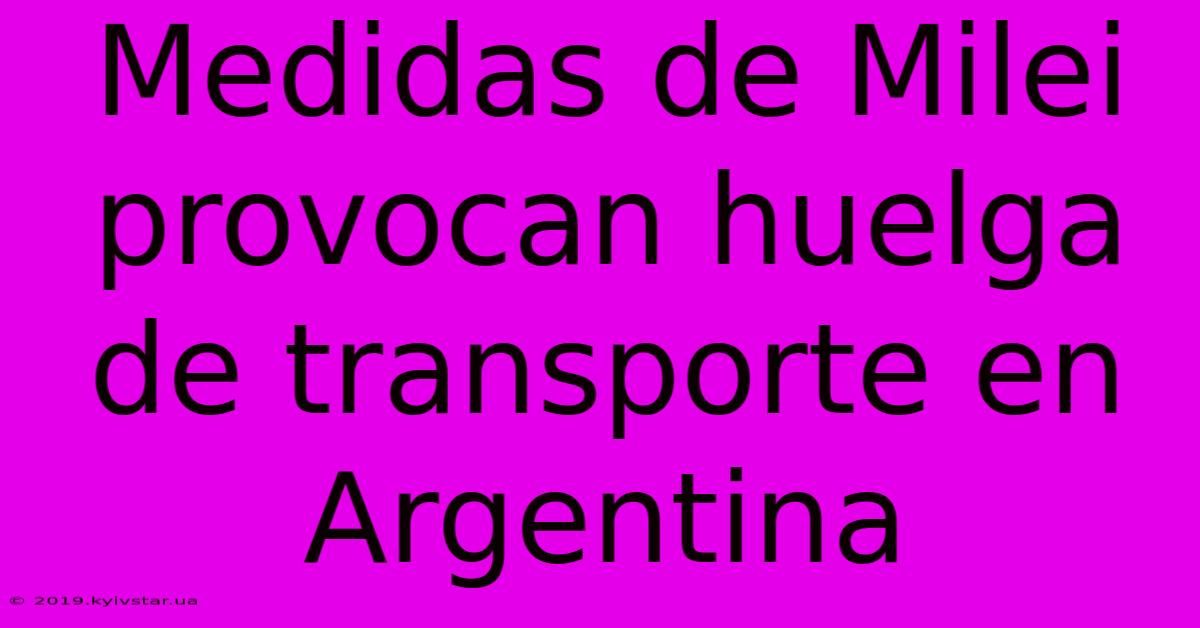 Medidas De Milei Provocan Huelga De Transporte En Argentina