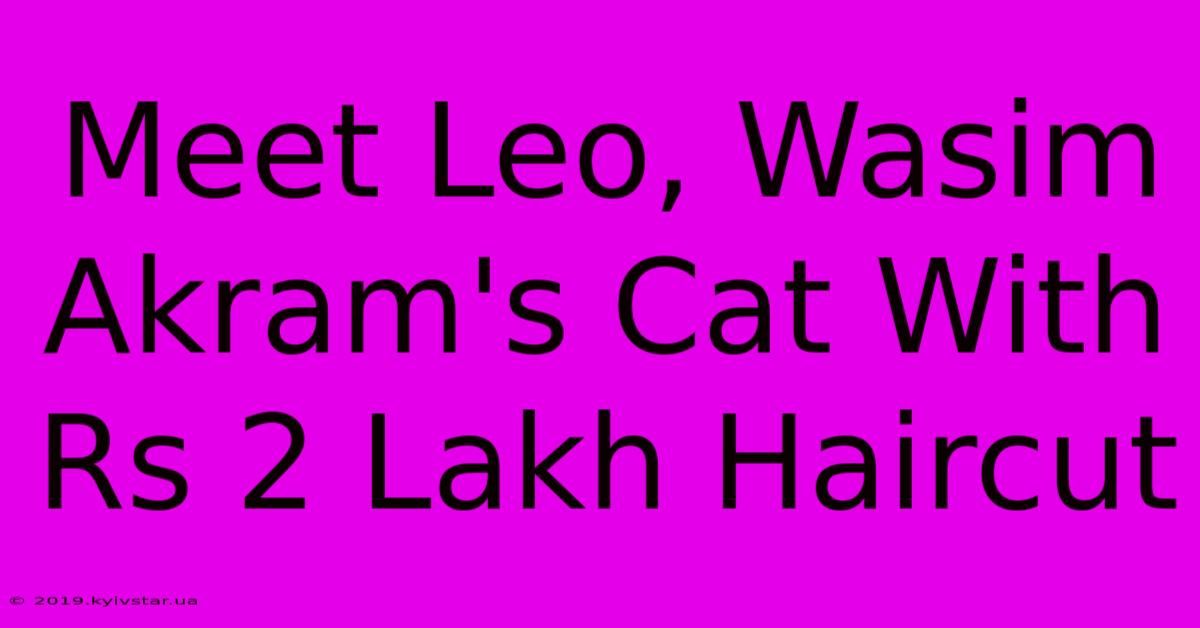 Meet Leo, Wasim Akram's Cat With Rs 2 Lakh Haircut