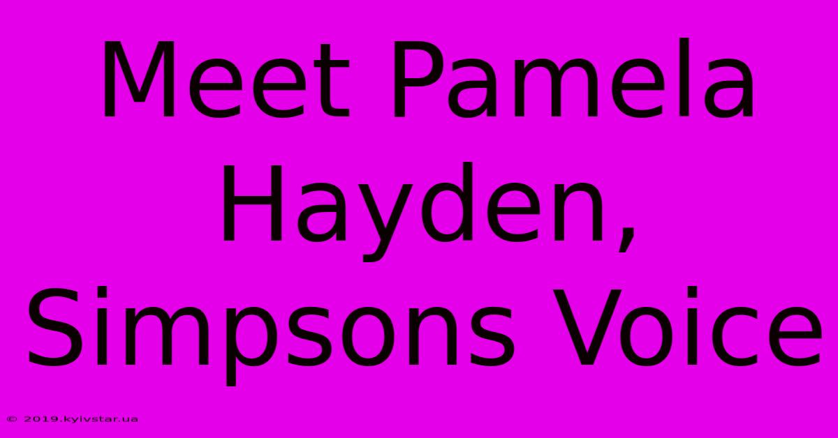 Meet Pamela Hayden, Simpsons Voice