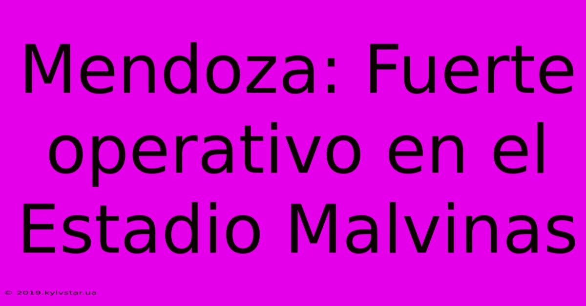 Mendoza: Fuerte Operativo En El Estadio Malvinas