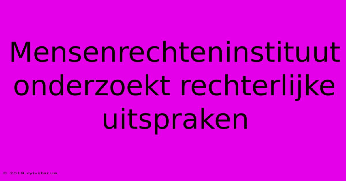 Mensenrechteninstituut Onderzoekt Rechterlijke Uitspraken