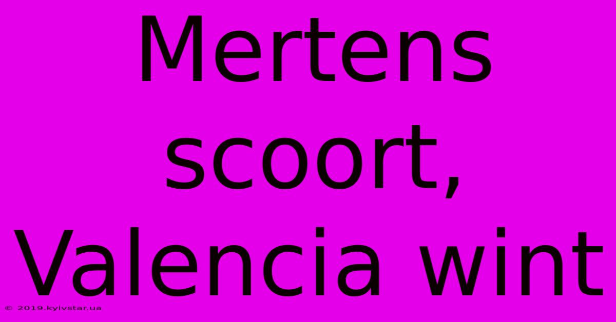 Mertens Scoort, Valencia Wint 