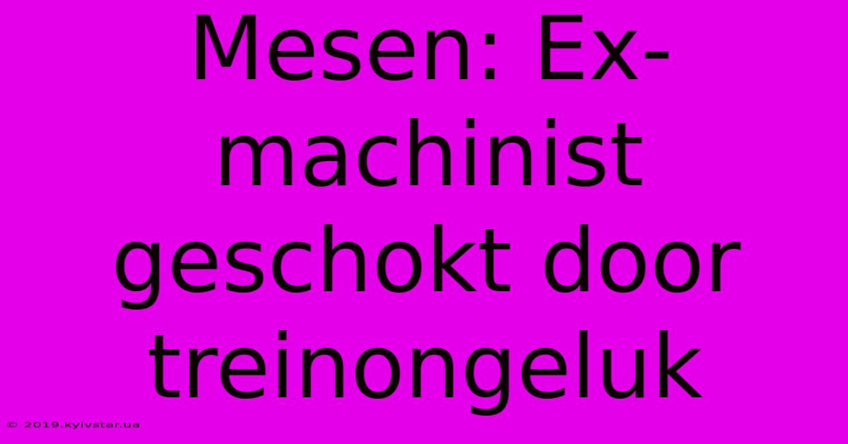 Mesen: Ex-machinist Geschokt Door Treinongeluk