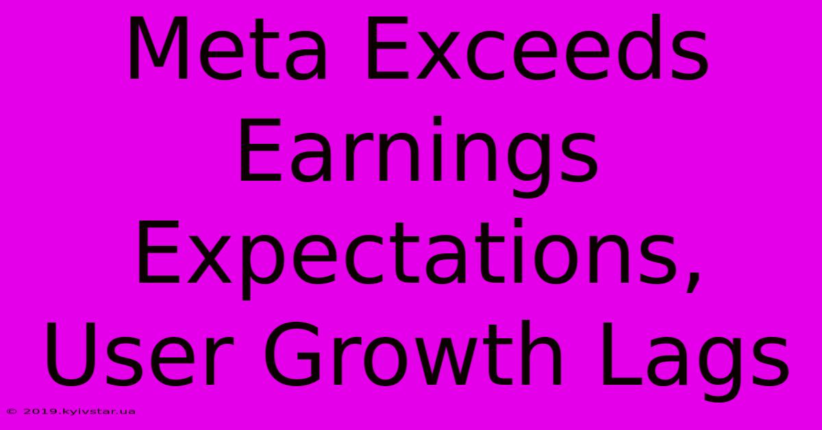 Meta Exceeds Earnings Expectations, User Growth Lags 