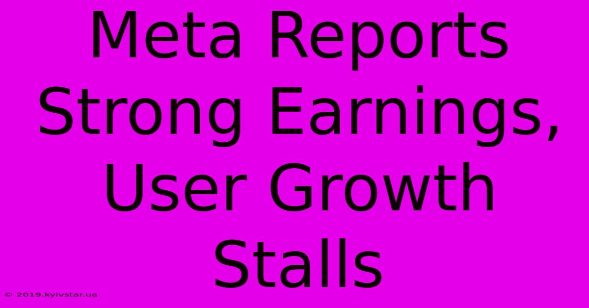 Meta Reports Strong Earnings,  User Growth Stalls