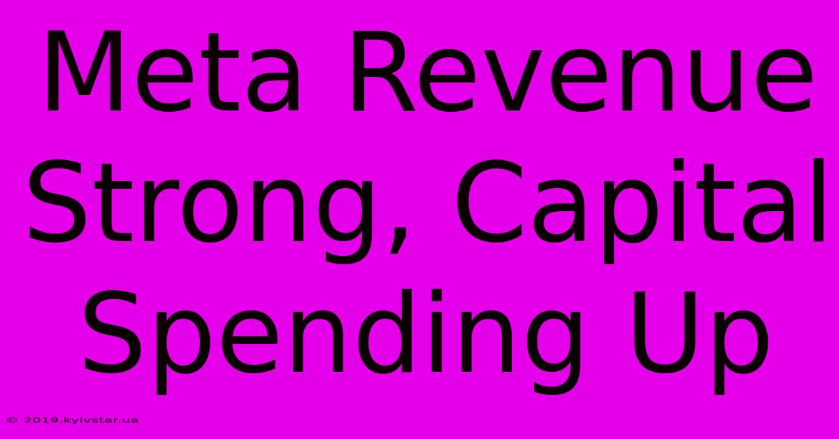 Meta Revenue Strong, Capital Spending Up