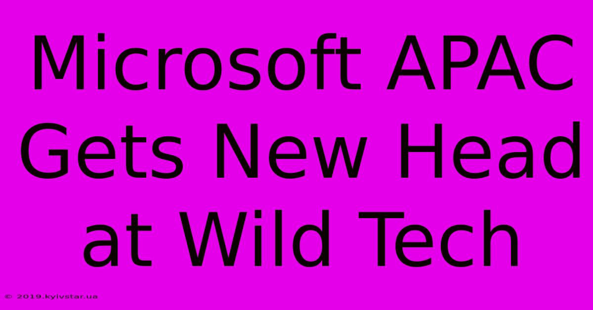 Microsoft APAC Gets New Head At Wild Tech