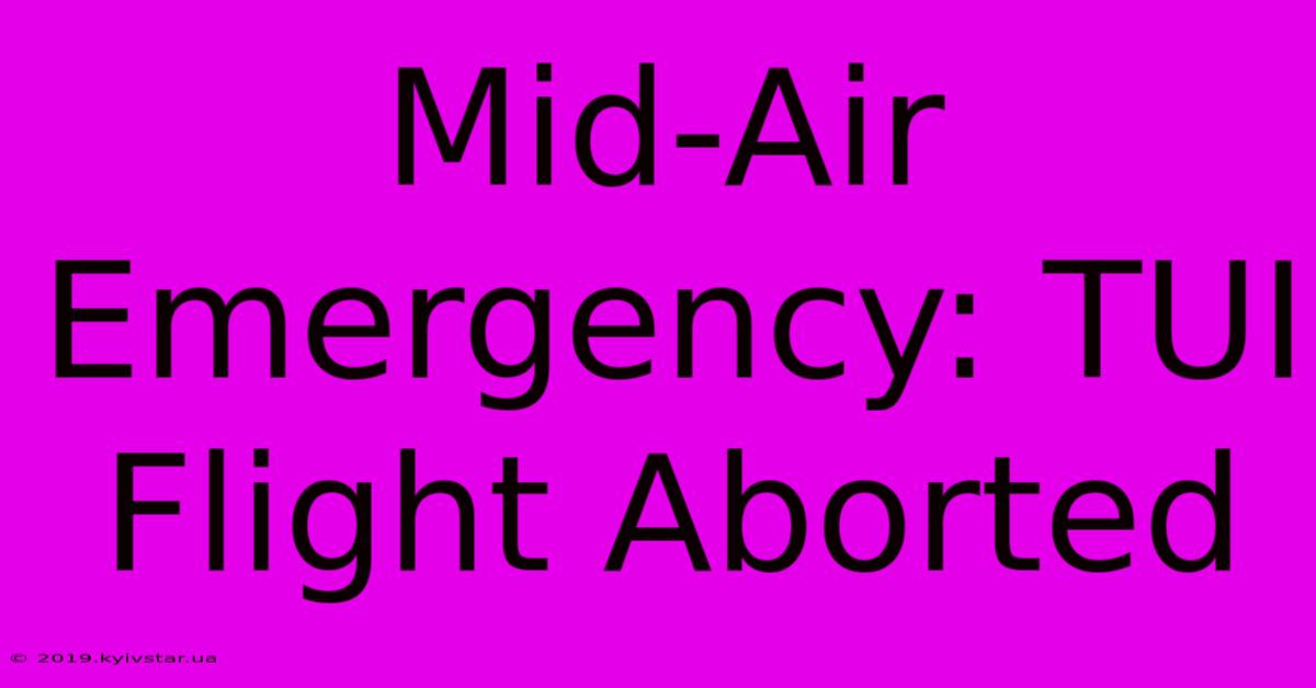 Mid-Air Emergency: TUI Flight Aborted