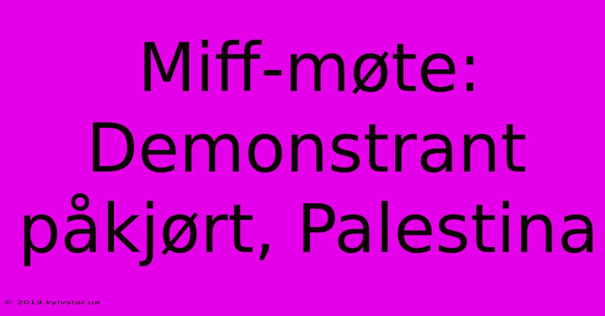 Miff-møte: Demonstrant Påkjørt, Palestina