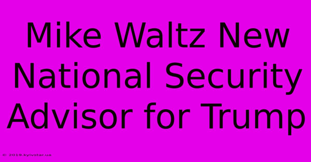 Mike Waltz New National Security Advisor For Trump 