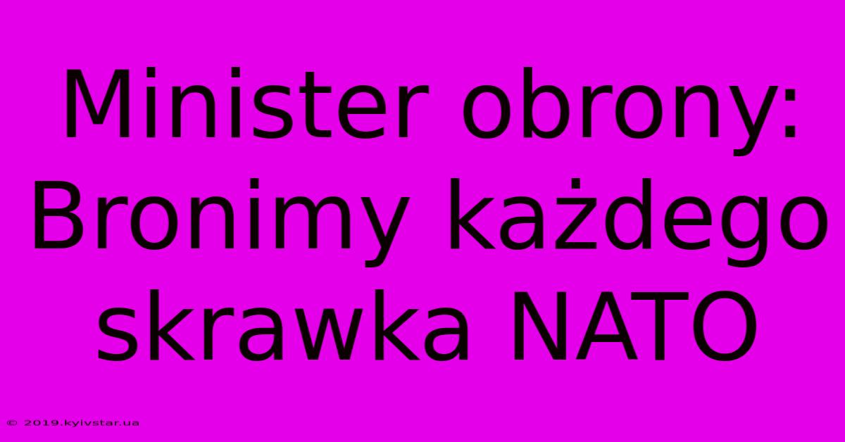 Minister Obrony: Bronimy Każdego Skrawka NATO