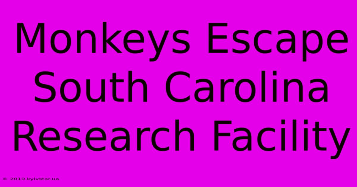 Monkeys Escape South Carolina Research Facility