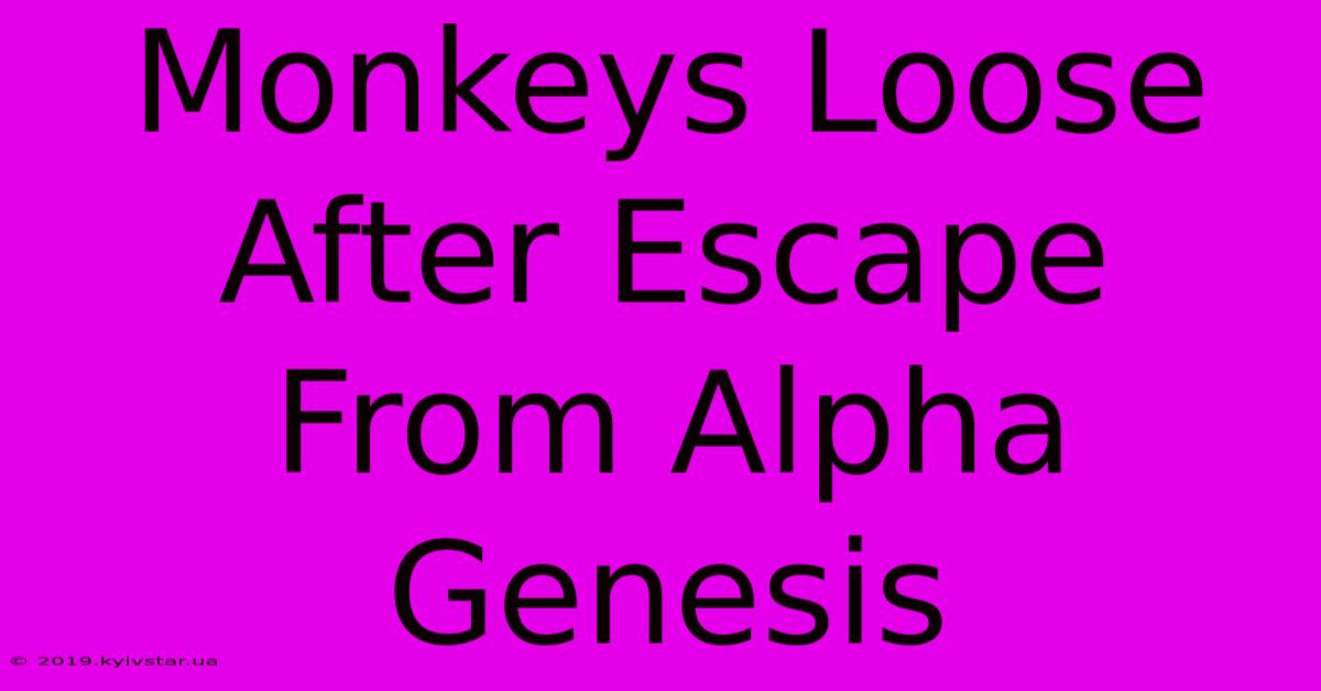 Monkeys Loose After Escape From Alpha Genesis