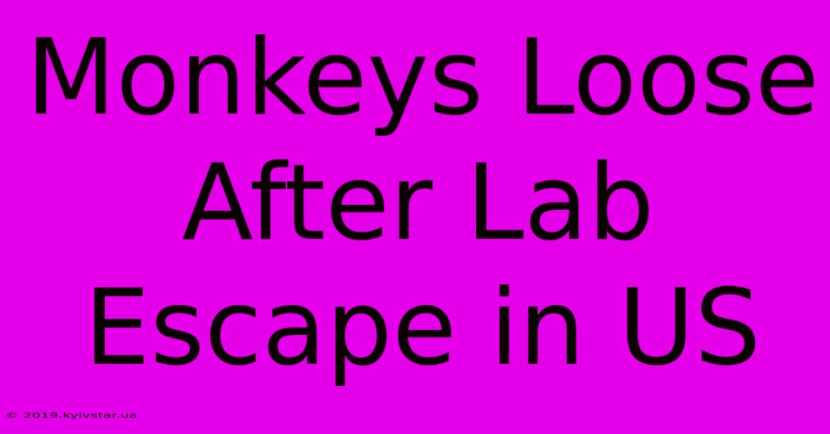 Monkeys Loose After Lab Escape In US