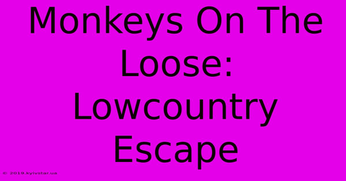 Monkeys On The Loose: Lowcountry Escape 