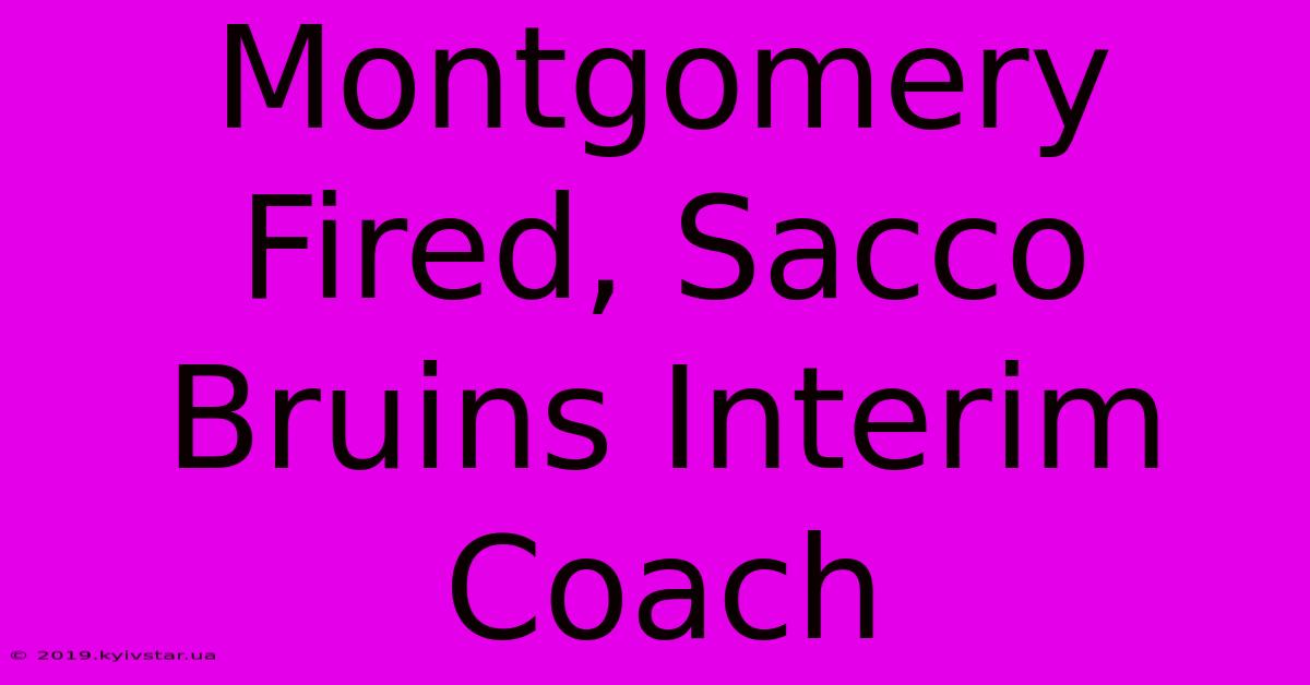 Montgomery Fired, Sacco Bruins Interim Coach