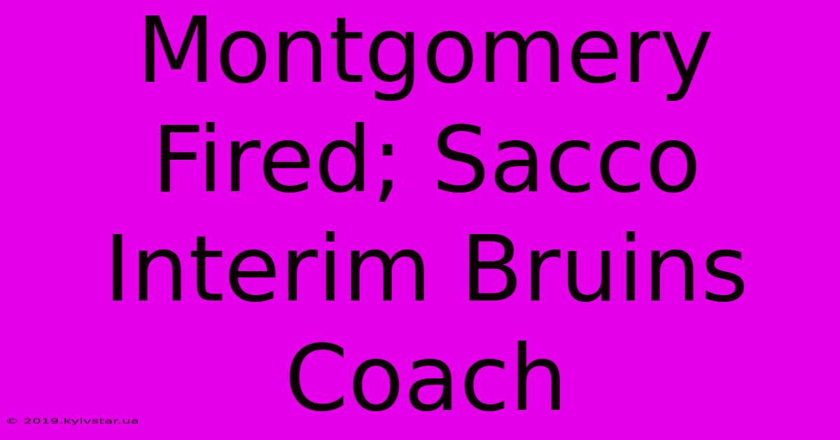 Montgomery Fired; Sacco Interim Bruins Coach