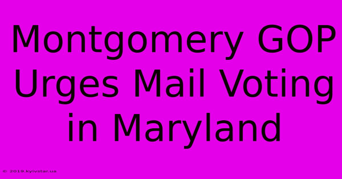 Montgomery GOP Urges Mail Voting In Maryland