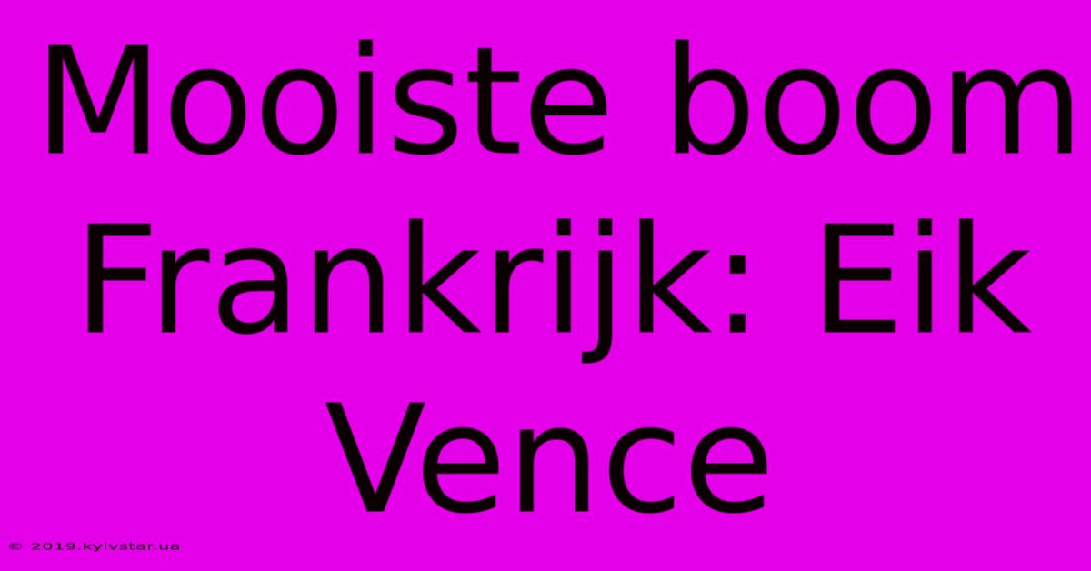 Mooiste Boom Frankrijk: Eik Vence