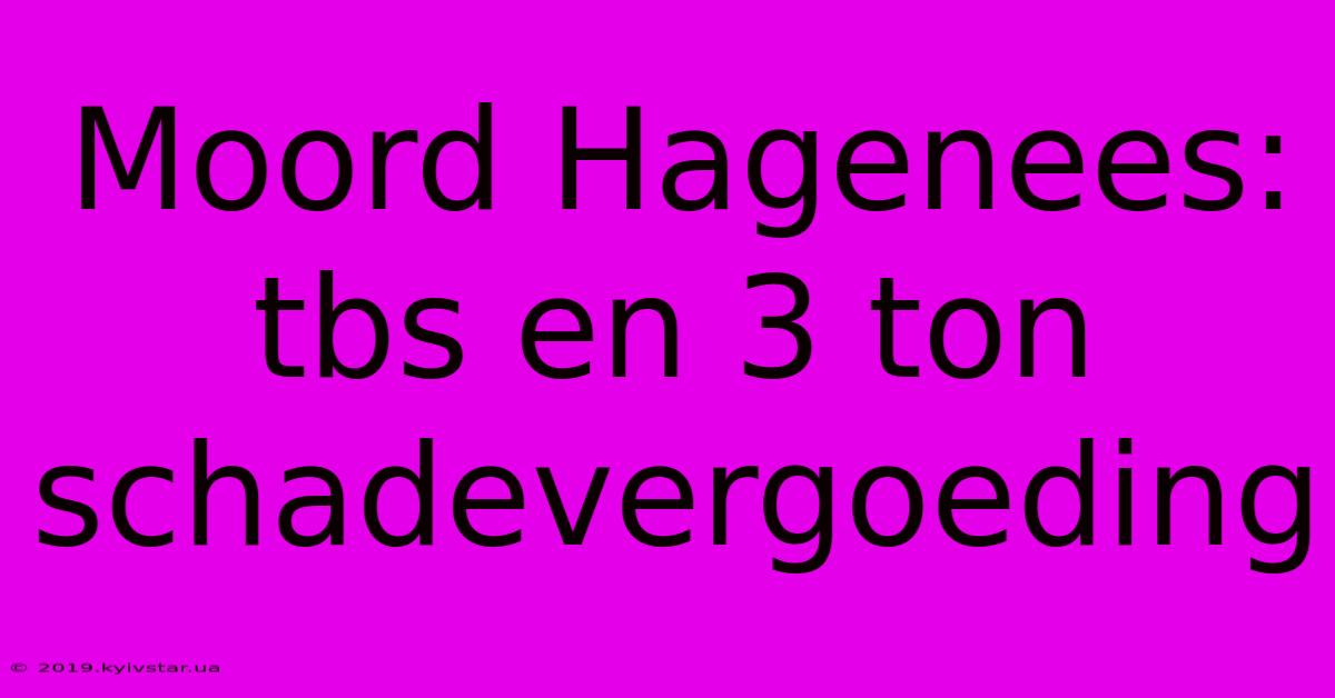 Moord Hagenees: Tbs En 3 Ton Schadevergoeding