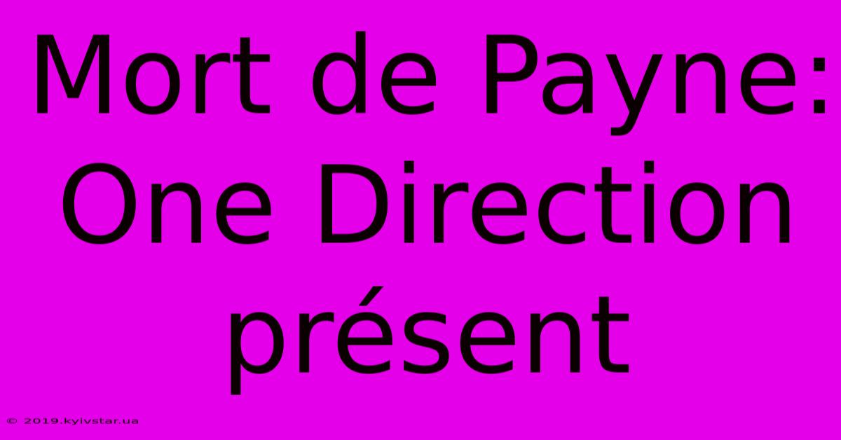 Mort De Payne: One Direction Présent