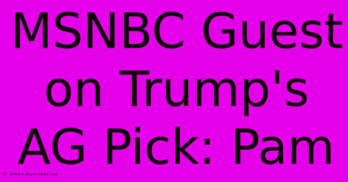 MSNBC Guest On Trump's AG Pick: Pam