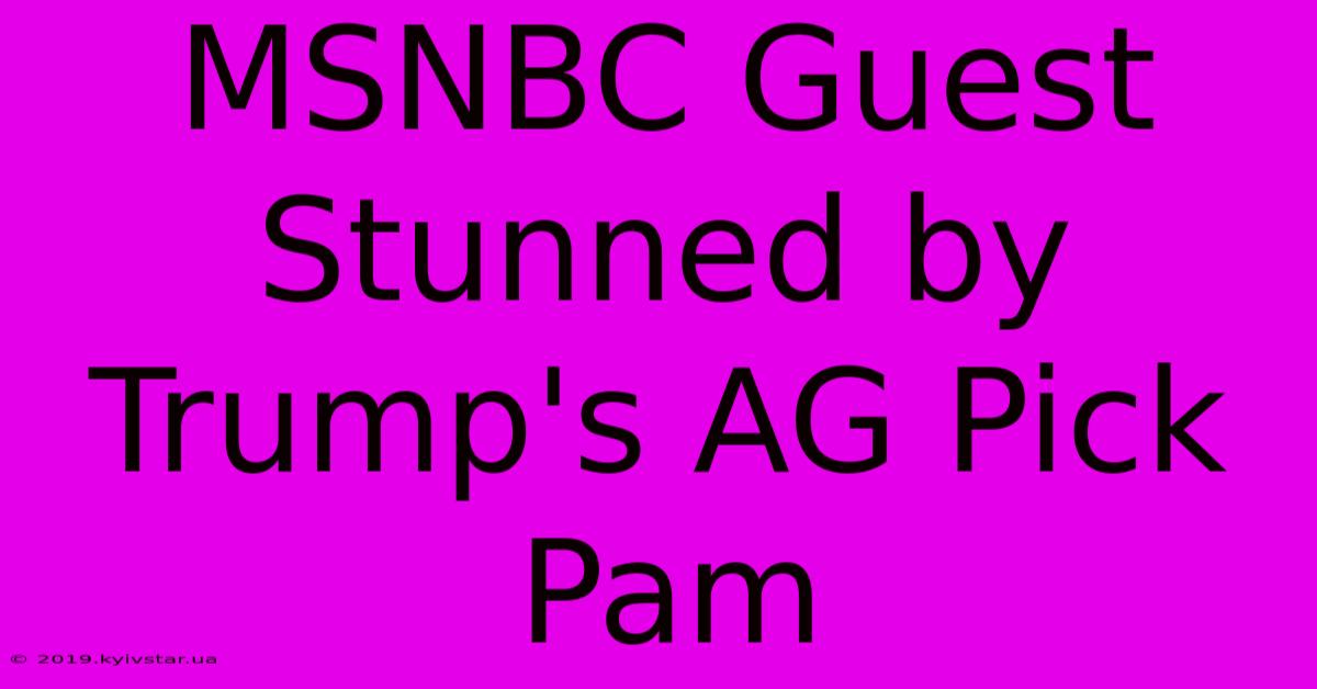 MSNBC Guest Stunned By Trump's AG Pick Pam