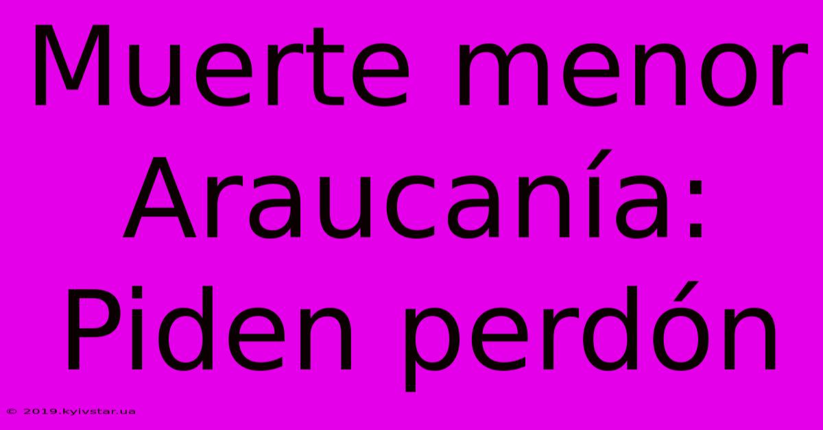 Muerte Menor Araucanía:  Piden Perdón