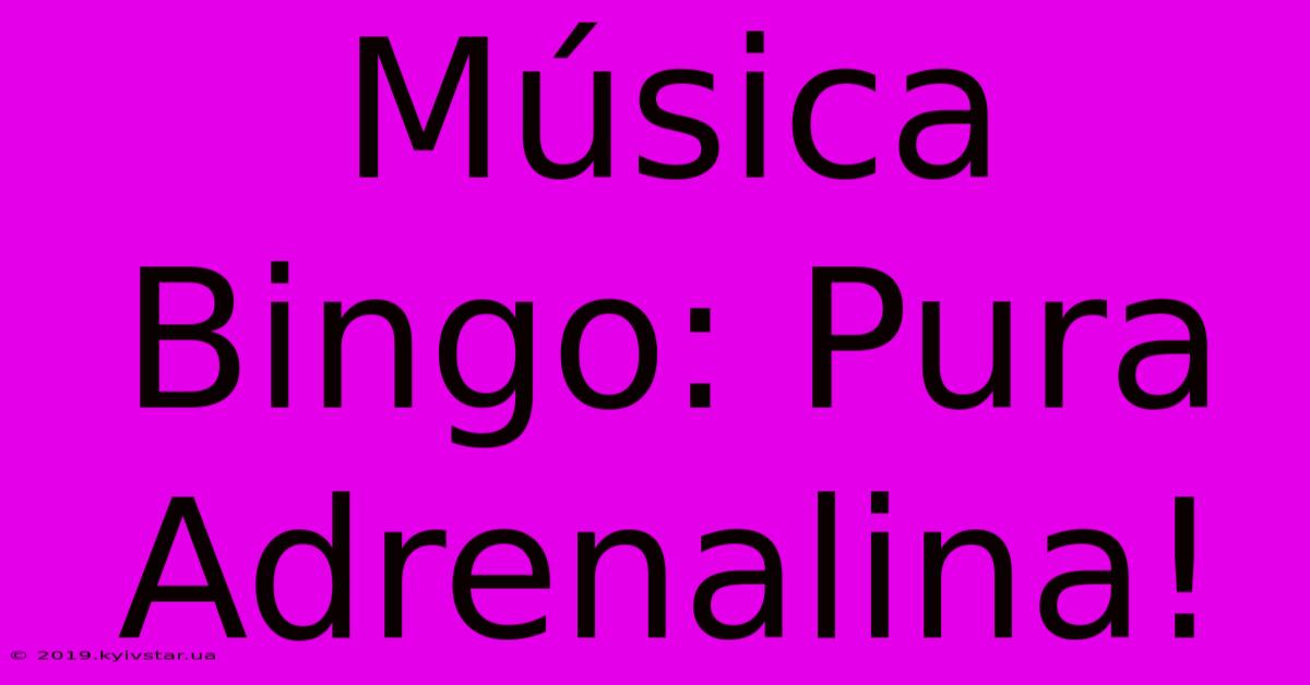 Música Bingo: Pura Adrenalina!