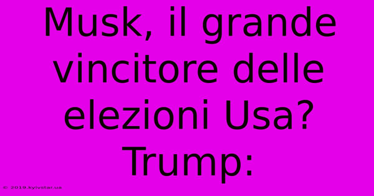 Musk, Il Grande Vincitore Delle Elezioni Usa? Trump: