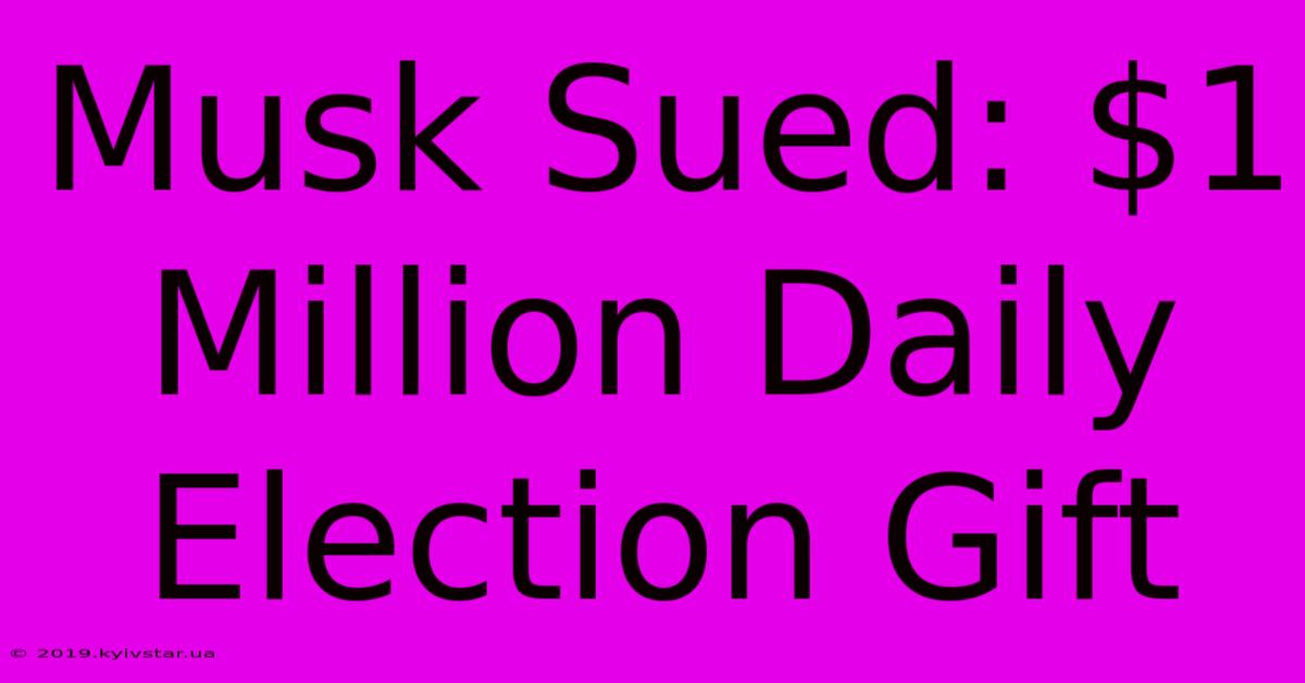 Musk Sued: $1 Million Daily Election Gift 