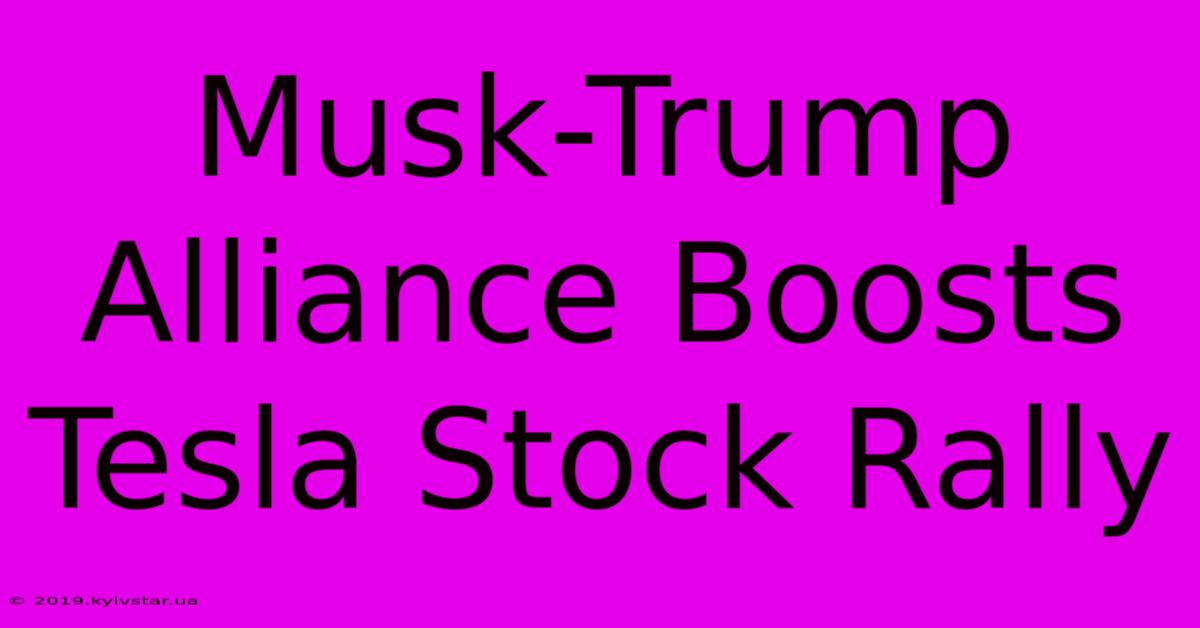 Musk-Trump Alliance Boosts Tesla Stock Rally