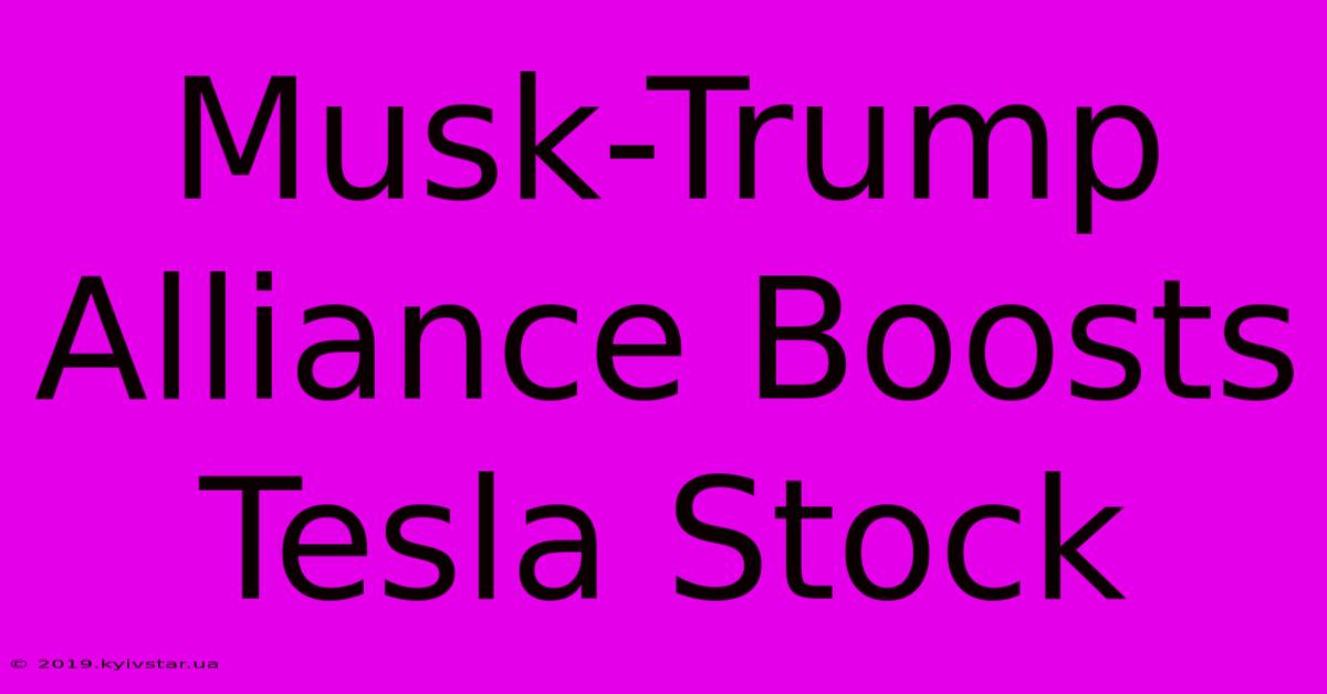 Musk-Trump Alliance Boosts Tesla Stock