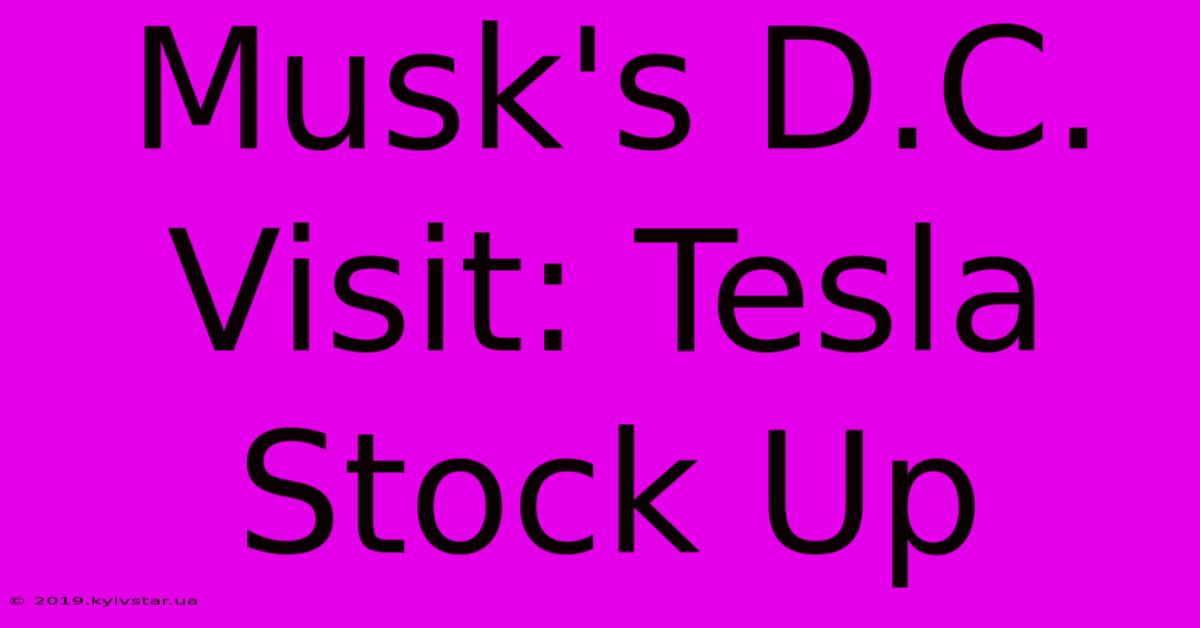 Musk's D.C. Visit: Tesla Stock Up 