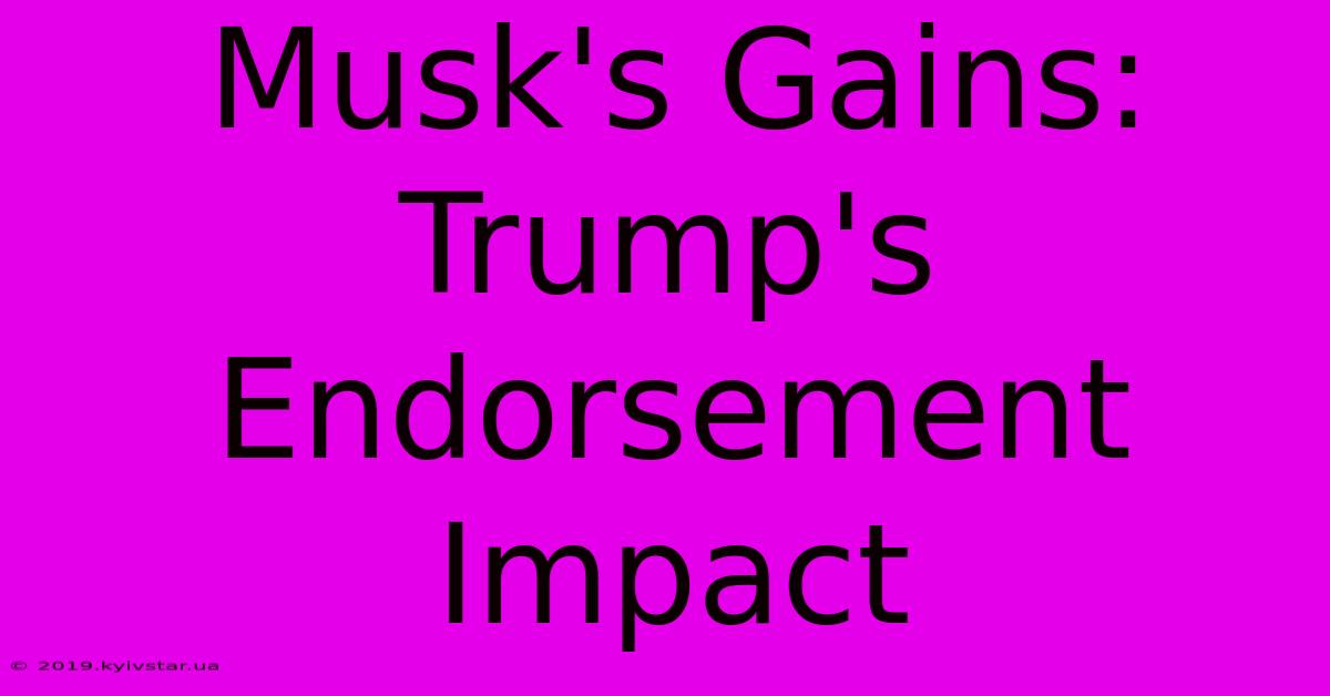 Musk's Gains: Trump's Endorsement Impact