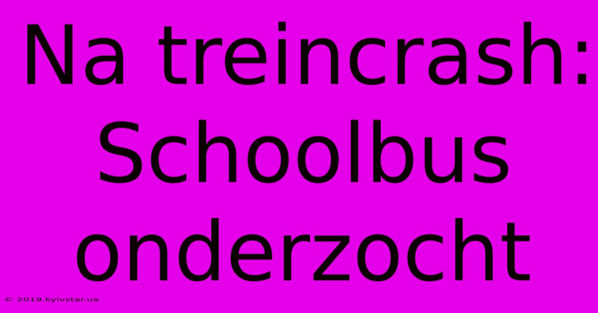 Na Treincrash: Schoolbus Onderzocht