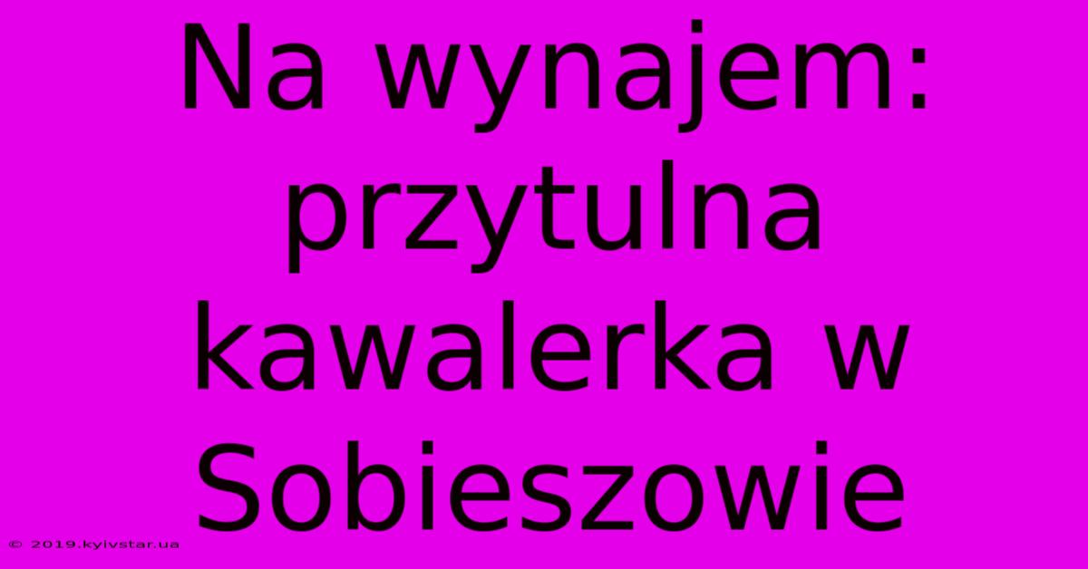 Na Wynajem: Przytulna Kawalerka W Sobieszowie