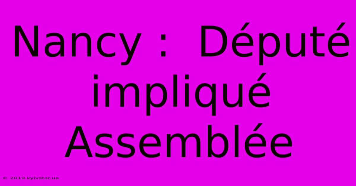 Nancy :  Député Impliqué Assemblée