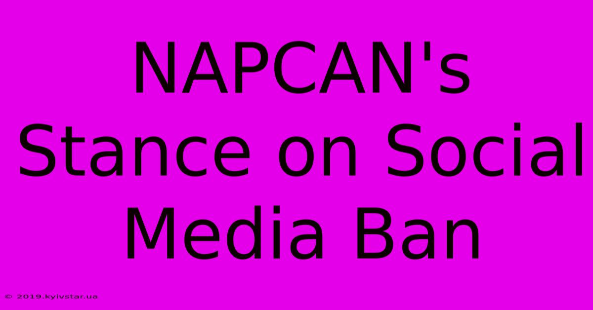 NAPCAN's Stance On Social Media Ban