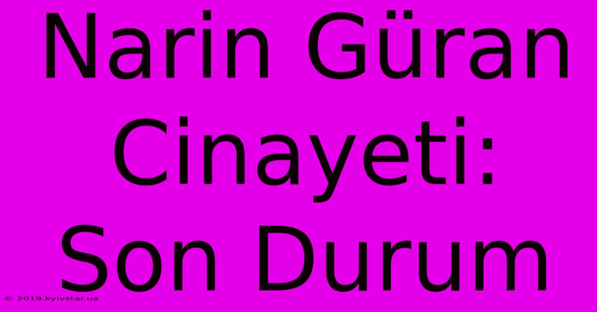 Narin Güran Cinayeti: Son Durum