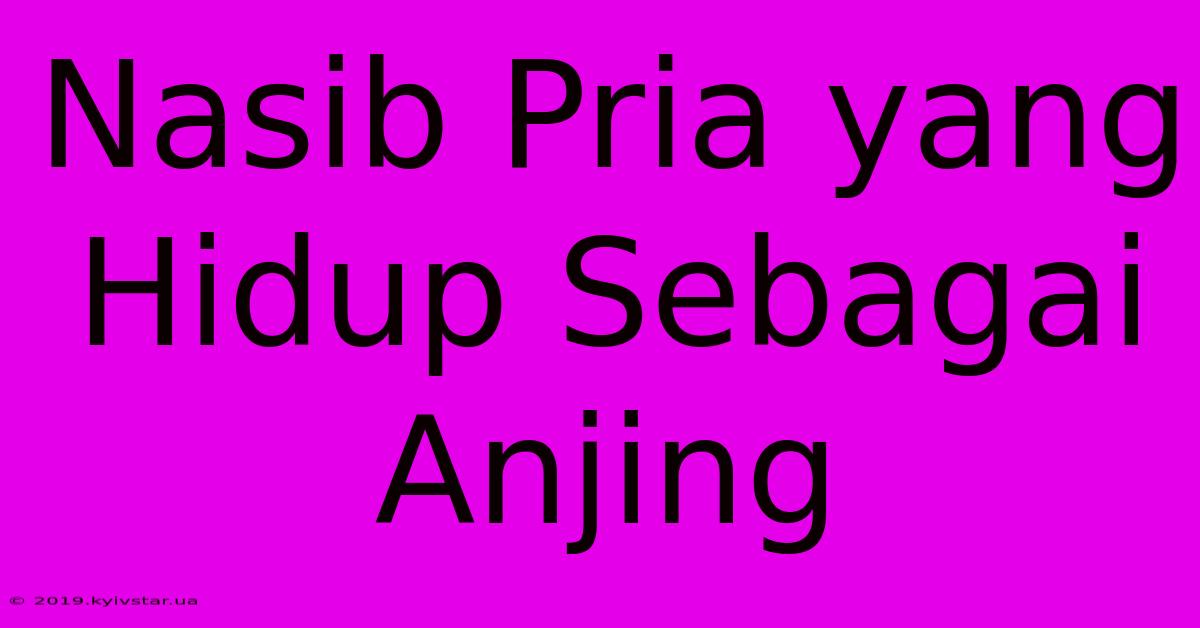 Nasib Pria Yang Hidup Sebagai Anjing