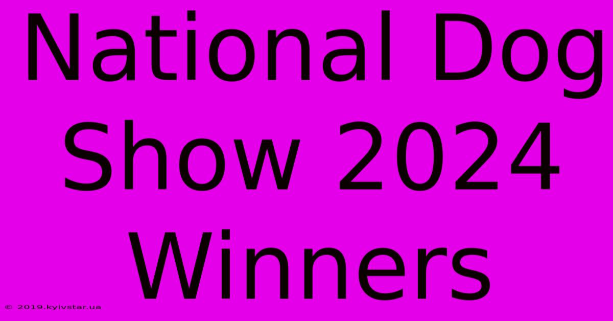 National Dog Show 2024 Winners