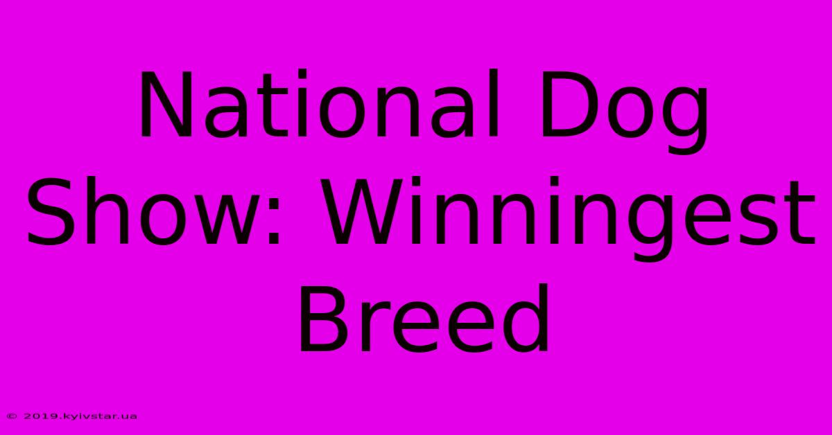 National Dog Show: Winningest Breed