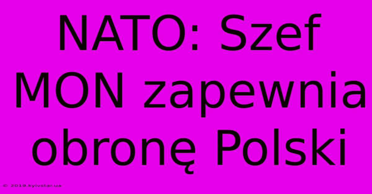 NATO: Szef MON Zapewnia Obronę Polski